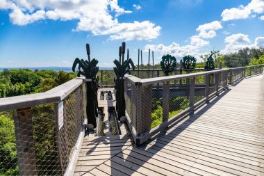 Heringsdorf, Mecklenburg-Batı Pomerania, Almanya - 29 Mayıs 2025: Ahşap güverte ağaç figürleri ve geniş bir orman manzarası ve Baltık ufkuyla çevrili ip köprü girişine sahiptir.