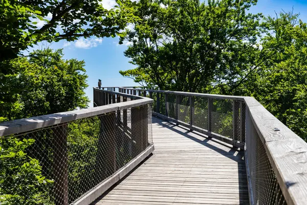 Heringsdorf, Mecklenburg-Batı Pomerania, Almanya - 29 Mayıs 2025: Orman tepe örtüsü üzerindeki eğri ahşap yürüyüş yolu yeşil yeşillik ve mavi gökyüzü ile çevrili gözleme noktasına doğru gider