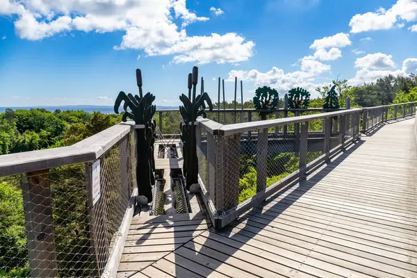 Heringsdorf, Mecklenburg-Batı Pomerania, Almanya - 29 Mayıs 2025: Ahşap güverte ağaç figürleri ve geniş bir orman manzarası ve Baltık ufkuyla çevrili ip köprü girişine sahiptir.