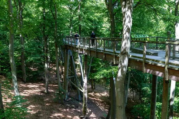 Heringsdorf, Mecklenburg-Batı Pomerania, Almanya - 29 Mayıs 2025: Ziyaretçiler Baumwipfelpfad üzerinde ahşap patika yürüyüşü yaparak, sık orman alanındaki ağaçların arasında güvenle yürüdüler.