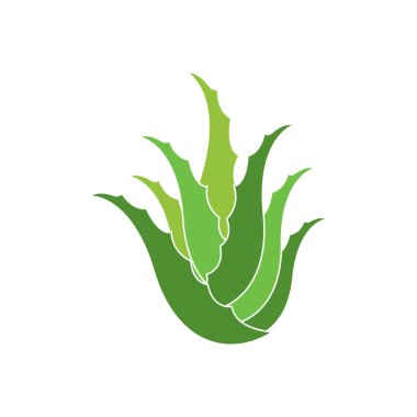 Aloe Vera logo icon design symbol beauty skin care