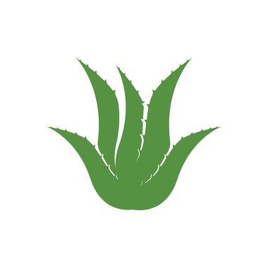 Aloe Vera logo icon design symbol beauty skin care
