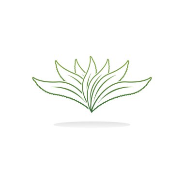 Aloe Vera logo icon design symbol beauty skin care