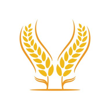 Buğday logosu vektör illüstrasyon tasarımı