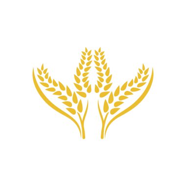 Buğday logosu vektör illüstrasyon tasarımı
