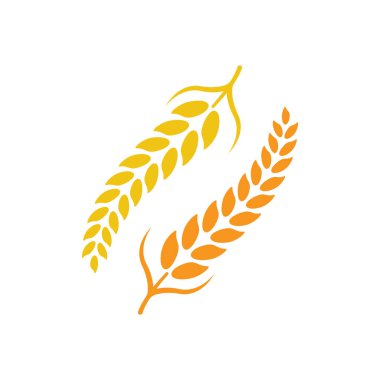 Buğday logosu vektör illüstrasyon tasarımı