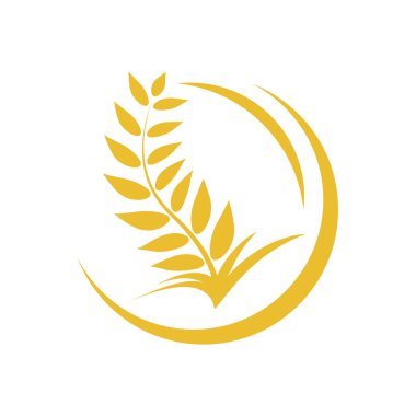 Buğday logosu vektör illüstrasyon tasarımı