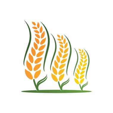 Buğday logosu vektör illüstrasyon tasarımı