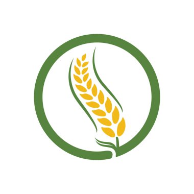 Buğday logosu vektör illüstrasyon tasarımı