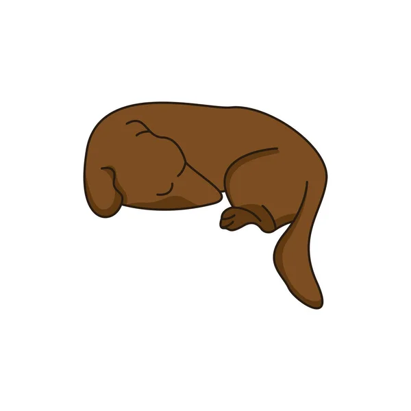 犬のロゴベクトルデザインアイコンイラストテンプレート — ストックベクタ