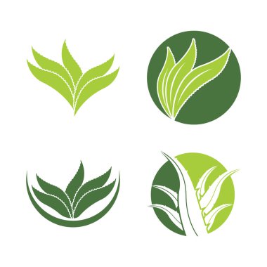 Aloe Vera logo icon design symbol beauty skin care