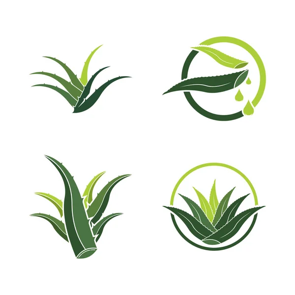 Aloe Vera Logo Icon Design Symbol Beauty Skin Care — Vetor de Stock