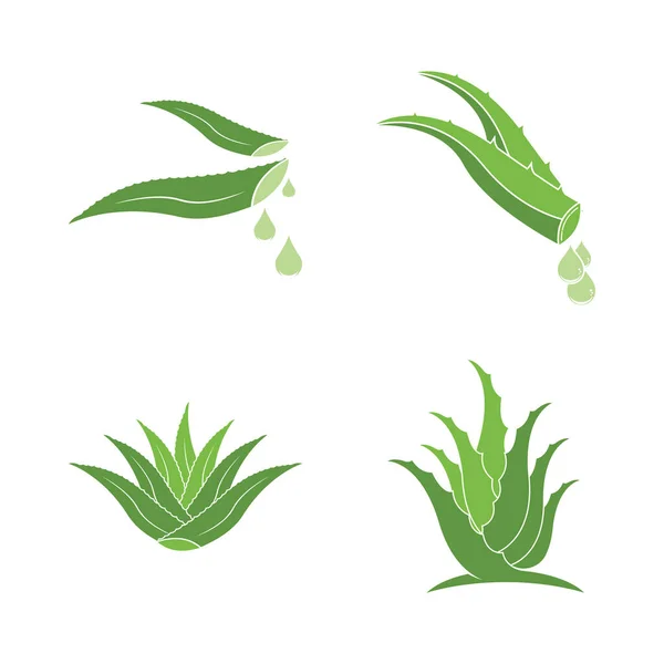 Aloe Vera Logo Icono Diseño Símbolo Belleza Cuidado Piel — Vector de stock