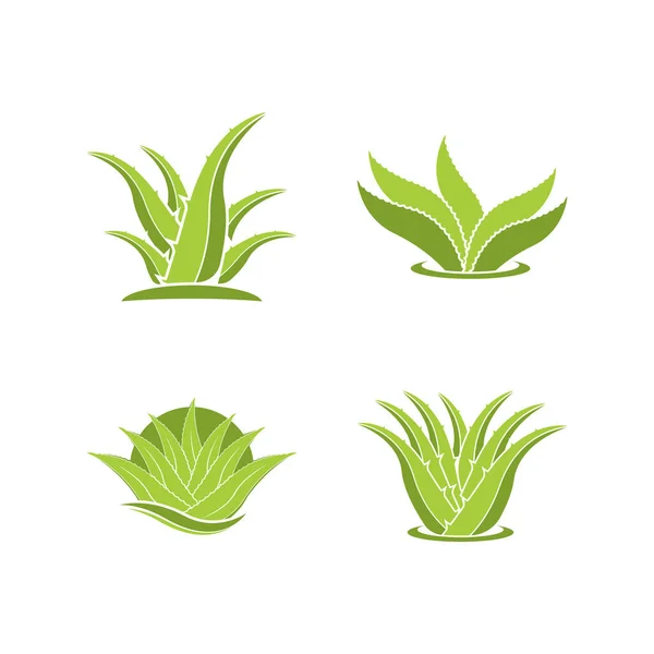 Aloe Vera Logo Icône Conception Symbole Beauté Soins Peau — Image vectorielle