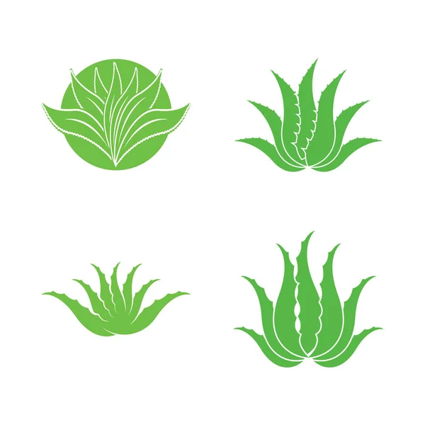 Aloe Vera Logotipo Ícone Design Símbolo Beleza Cuidados Pele — Vetor de Stock