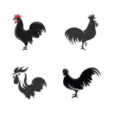 Rooster logo ikonu vektörü ve sembol tasarım illüstrasyonu