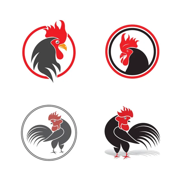 Rooster Logo Icon Vector Symbol Template Design Illustration — Stock Vector
