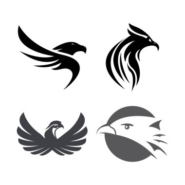 Falcon Logo Şablonu vektör çizimi tasarımı