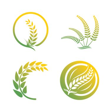 Buğday logosu vektör illüstrasyon tasarımı