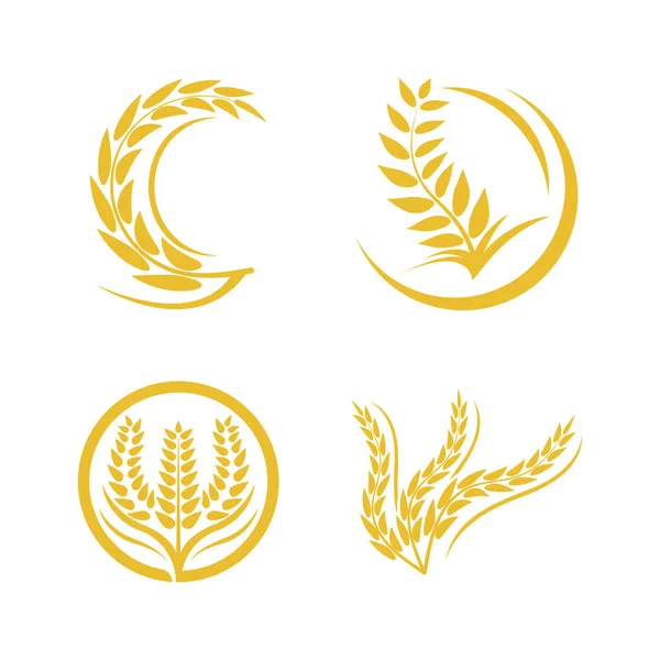 Logo Pszenicy Wektor Ikona Ilustracja Projekt — Wektor stockowy