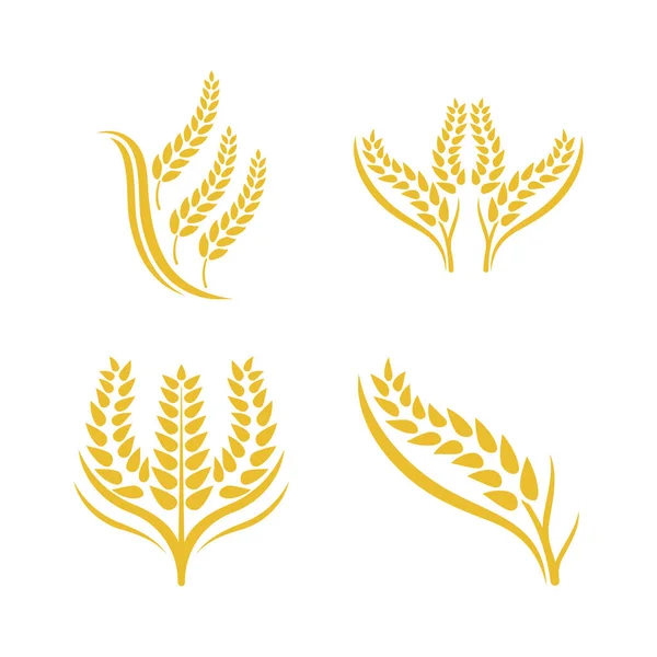 Návrh Vektorové Ikony Loga Pšenice — Stockový vektor
