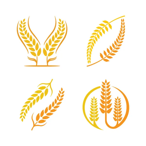 Weizen Logo Vektor Symbol Illustration Design — Stockvektor