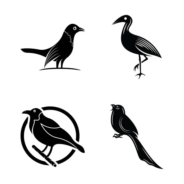 Κομψό Σχέδιο Εικονιδίων Λογότυπων Πουλιών Και Πρότυπο Διάνυσμα Συμβόλων — Διανυσματικό Αρχείο