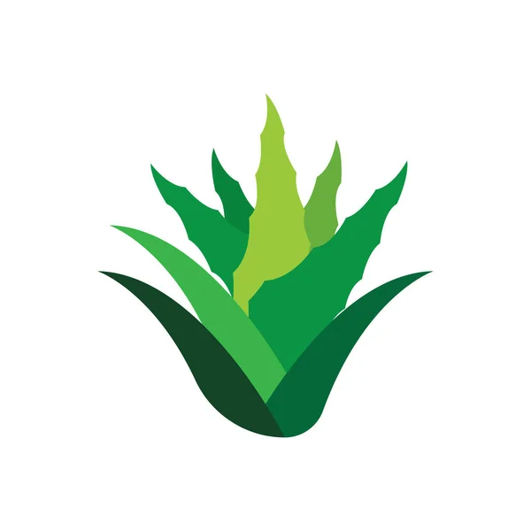 Aloe Vera Logo Icono Diseño Símbolo Belleza Cuidado Piel — Archivo Imágenes Vectoriales