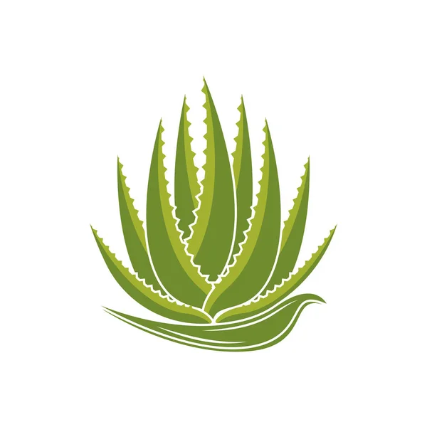 Aloe Vera Logotipo Ícone Design Símbolo Beleza Cuidados Pele — Vetor de Stock