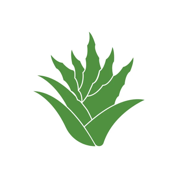 Aloe Vera Logo Icon Design Symbol Beauty Skin Care — Vettoriale Stock