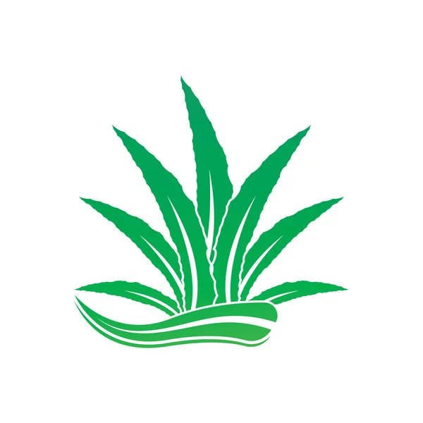 Aloe Vera Logo Icon Design Symbol Beauty Skin Care — ストックベクタ
