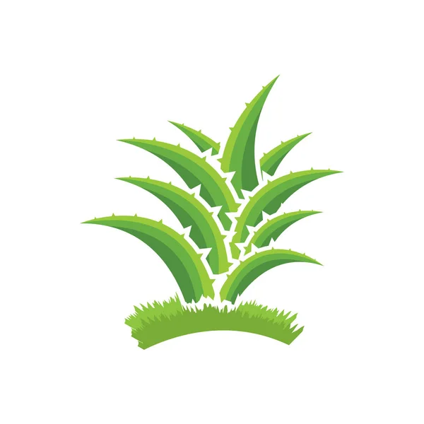 Дизайн Логотипа Алоэ Вера Символ Красоты Уход Кожей — стоковый вектор