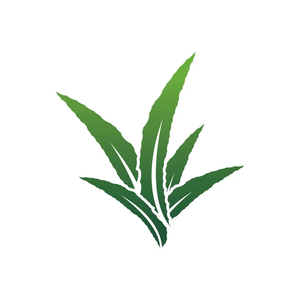 Aloe Vera Logo Icon Design Symbol Beauty Skin Care — 图库矢量图片