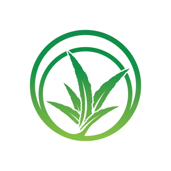 Aloe Vera Logo Icon Design Symbol Beauty Skin Care — Archivo Imágenes Vectoriales