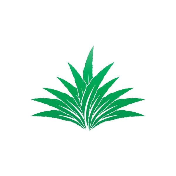 Aloe Vera Logo Icono Diseño Símbolo Belleza Cuidado Piel — Archivo Imágenes Vectoriales