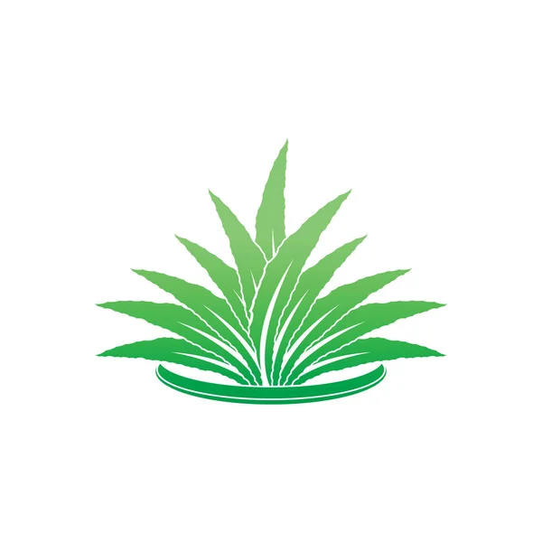 Дизайн Логотипа Алоэ Вера Символ Красоты Уход Кожей — стоковый вектор