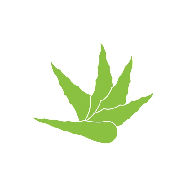 Aloe Vera Logo Icon Design Symbol Beauty Skin Care —  Vetores de Stock
