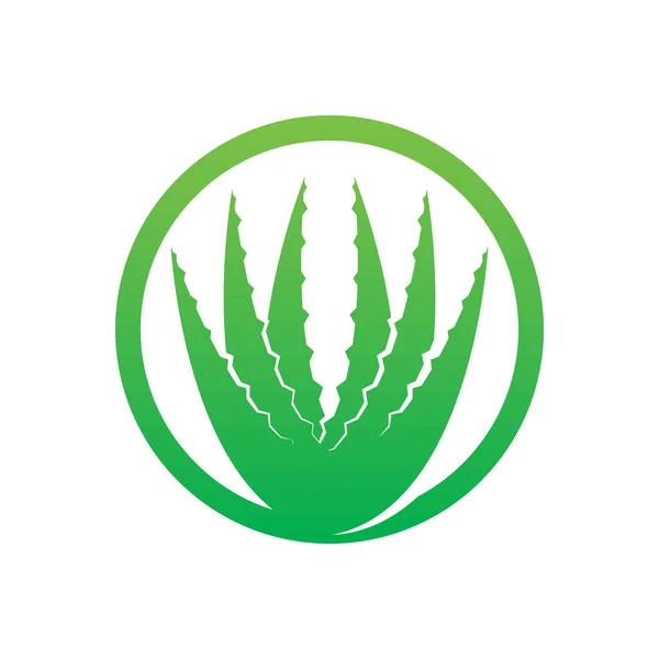 Aloe Vera Logo Icon Design Symbol Beauty Skin Care — 图库矢量图片