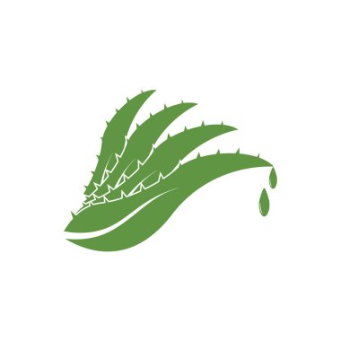 Aloe Vera logo icon design symbol beauty skin care