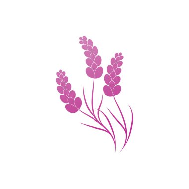 Güzel lavanta çiçeği ikonu vektör çizimi