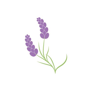 Güzel lavanta çiçeği ikonu vektör çizimi