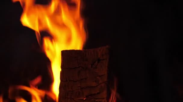 Majestätisk Låga Och Långsamma Rörelser Campfire Gnistor — Stockvideo