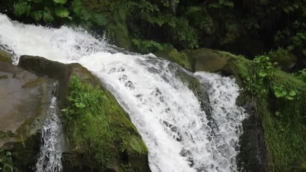 乌克兰喀尔巴阡山脉森林中的壮观瀑布 — 图库视频影像