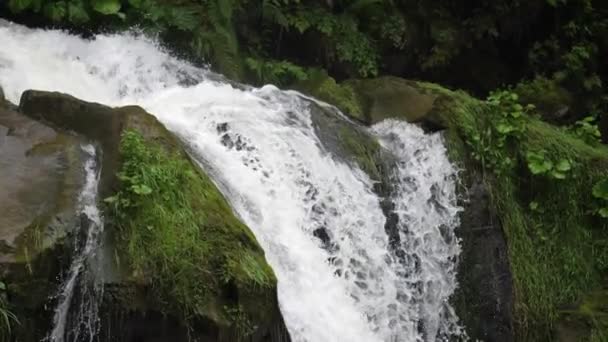 Působivý Pomalý Vodopád Zalesněných Horách Ukrajině Karpat — Stock video