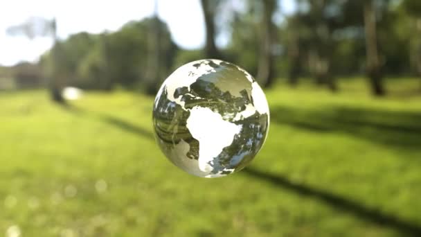 Globe Cristal Dans Une Forêt Concept Protection Environnement — Video
