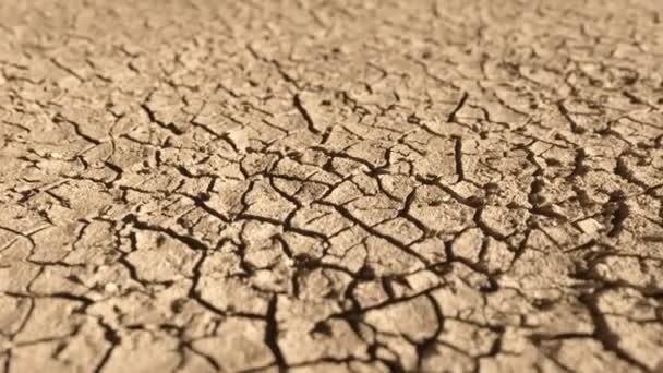 Sartén Sobre Suelo Seco Agrietado Brillante Durante Sequía — Vídeos de Stock
