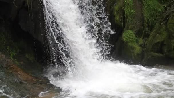 Prachtige Waterval Het Bos Karpaten Oekraïne — Stockvideo