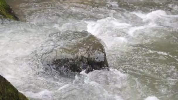 Flusso Acqua Fiume Montagna Nella Foresta Slow Carpazi Ucraina — Video Stock