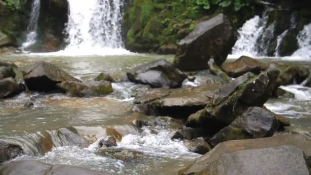 Cachoeiras Fluxo Água Rio Montanha Floresta Cárpatos Ucrânia — Vídeo de Stock