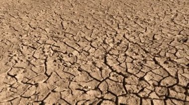 Kuraklık sırasında parlak, çatlamış toprak zemini üzerinde tava.